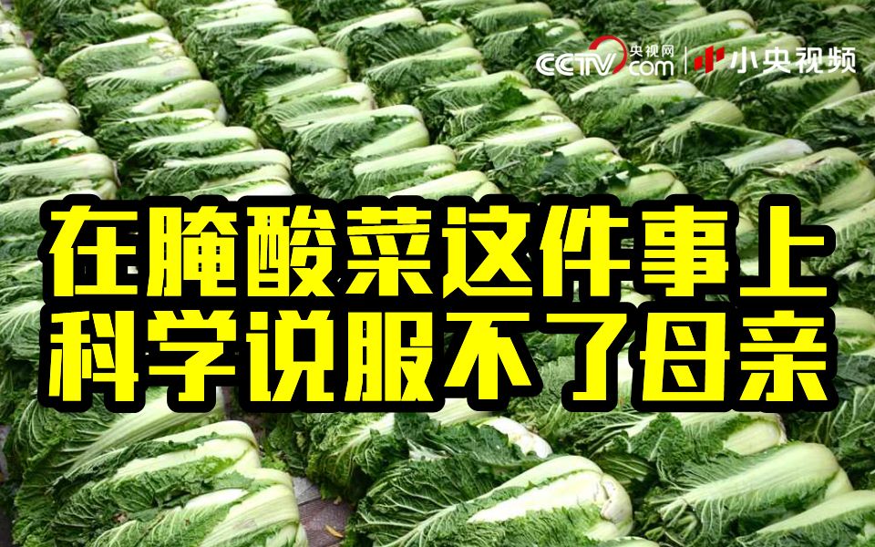 腌酸菜的生物学老师用科学说服不了东北的母亲