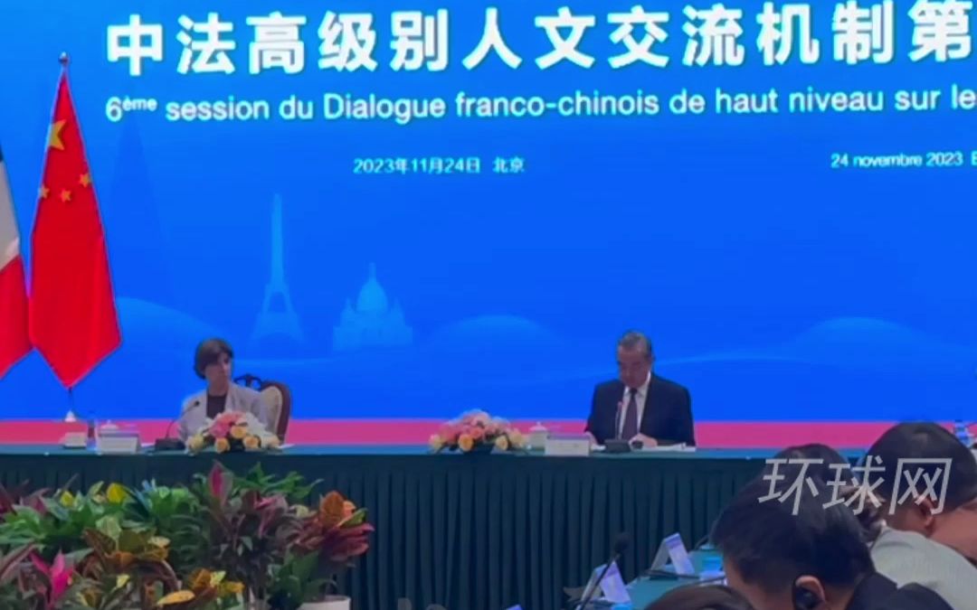 王毅现场宣布对法免签政策，法国外长连连点头并感谢