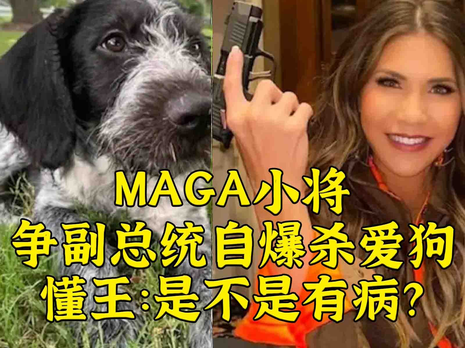 MAGA小将争副总统自爆杀爱狗，懂王：她是不是有病？