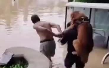 小生命也不该被放弃，暴雨中主人带狗狗撤离