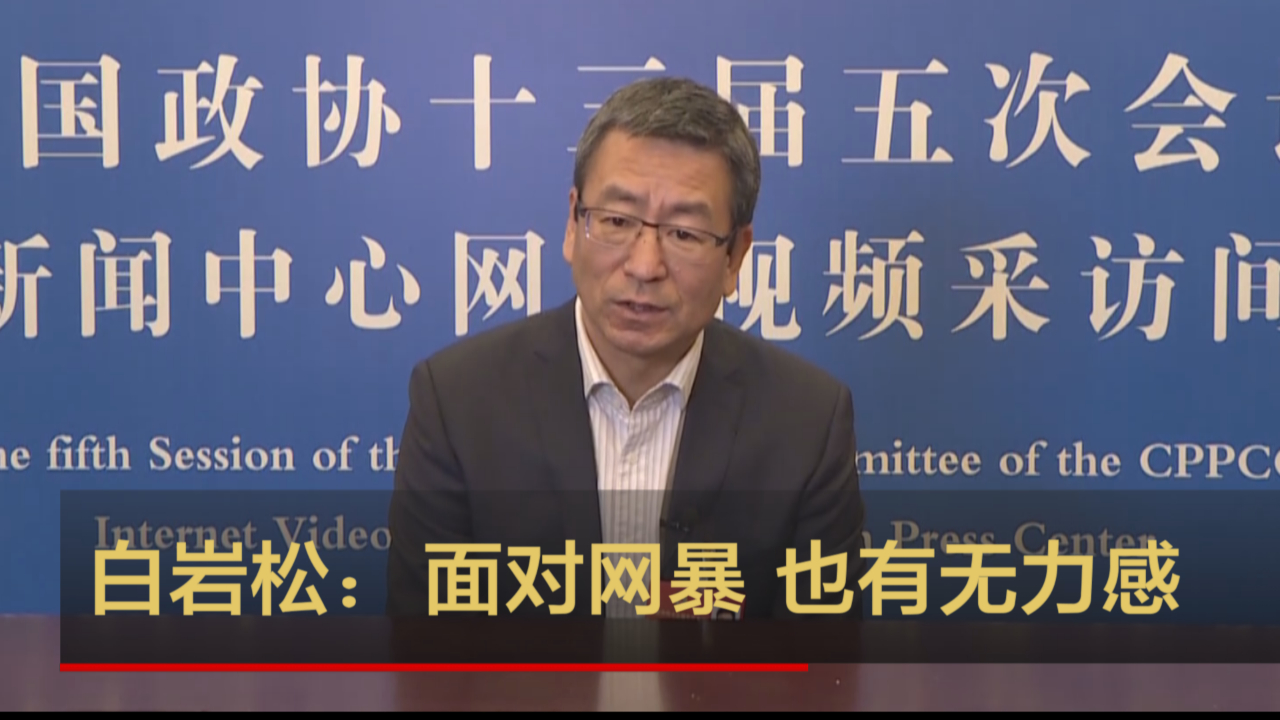 白岩松：面对网暴 也有无力感