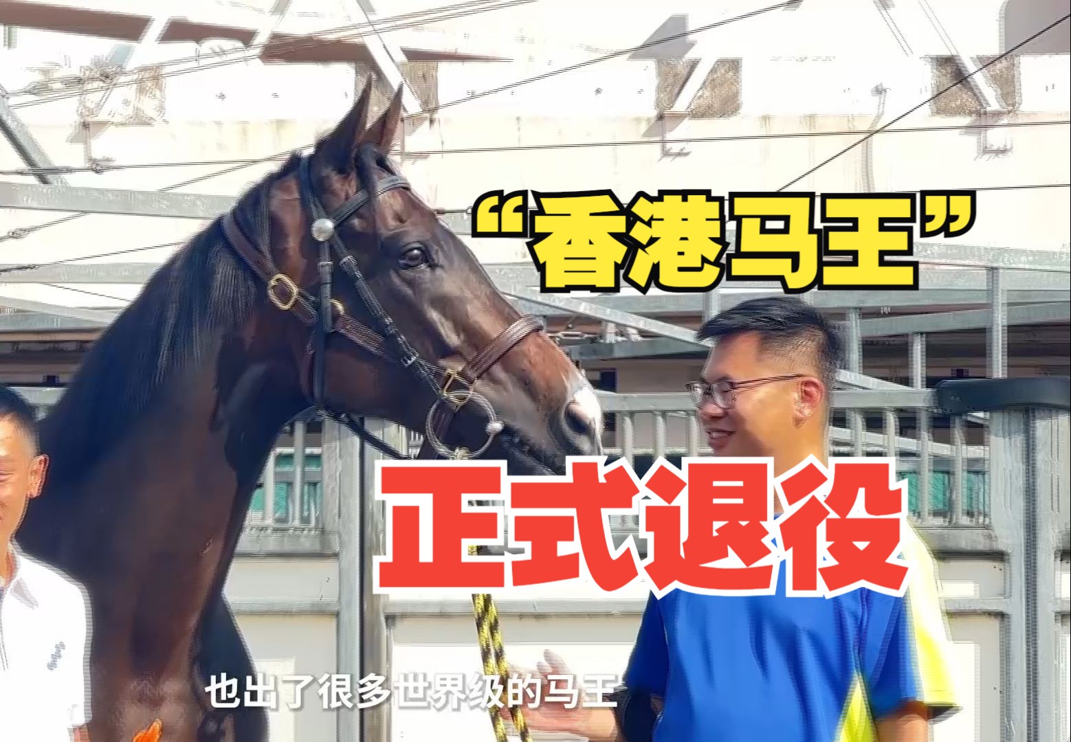 “香港马王”正式退役