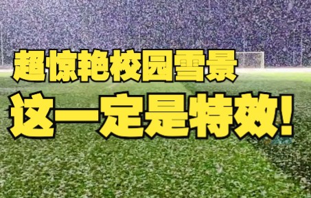 北方校园里的雪有多惊艳 南方人：这一定是特效