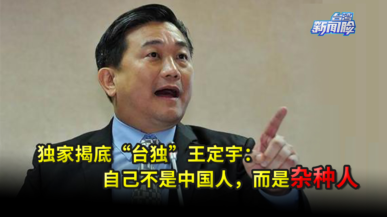 揭底“台独”王定宇：公开放话自己不是中国人，而是“杂种人”