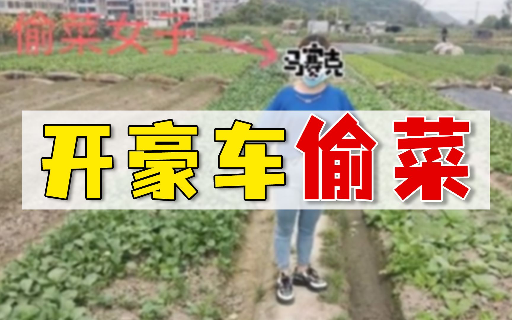 4女子为寻求刺激，半夜开豪车偷5大袋蔬菜，有钱人也要占便宜？