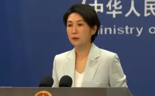 洛杉矶港高管称中国起重机或
