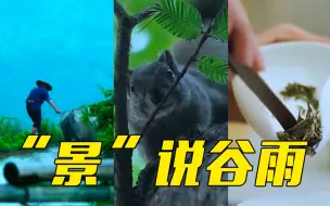 当春日美景遇到谷雨习俗，一起邂逅春天的浪漫