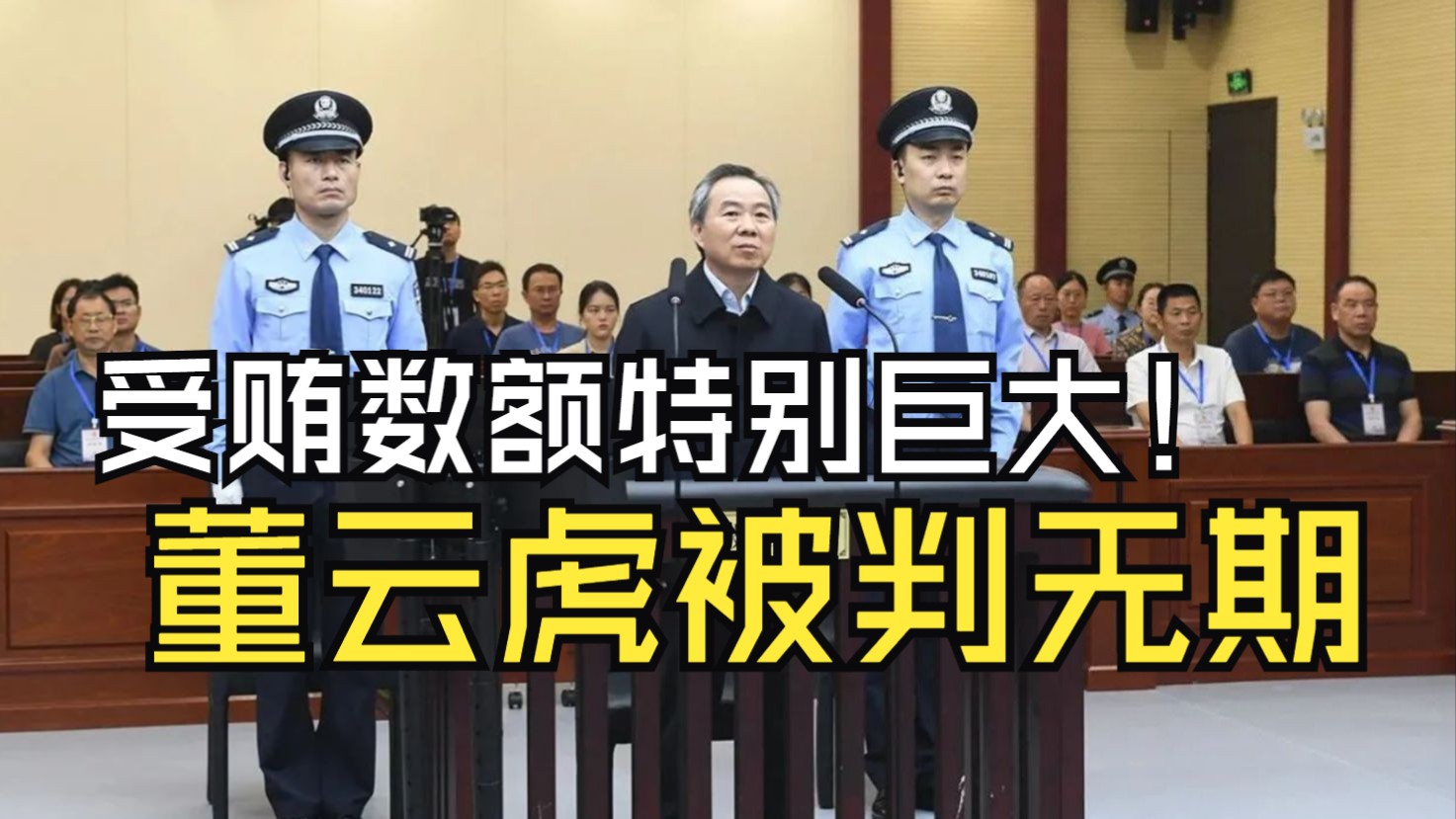 受贿数额特别巨大！董云虎被判无期