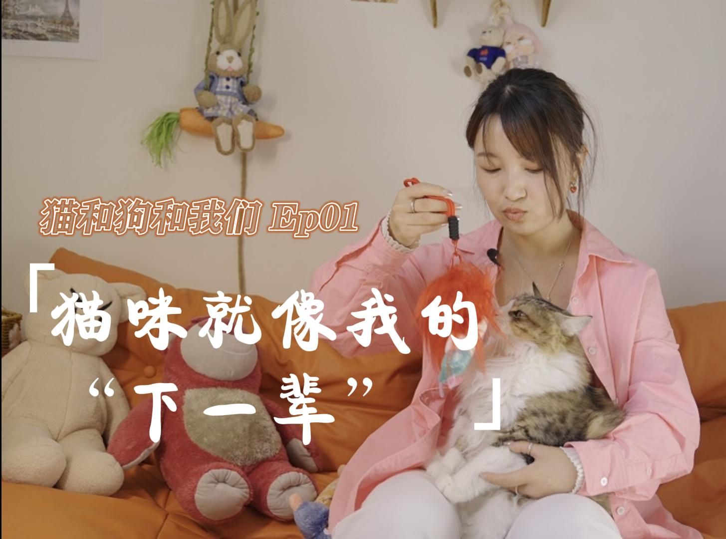 沪漂独居女孩：我觉得“无孩爱猫女”是一种挺好的生活状态