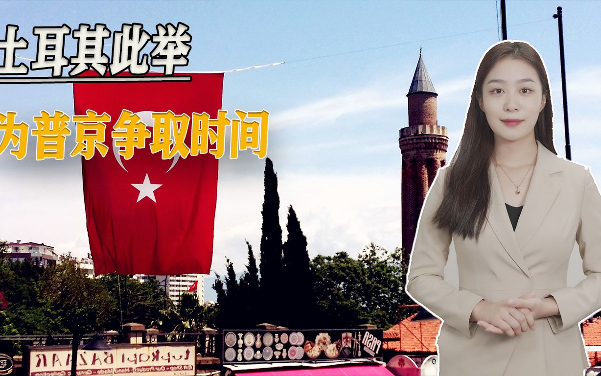 已到门口却遥遥无期的入约，土耳其再次出手，此举为普京争取时间