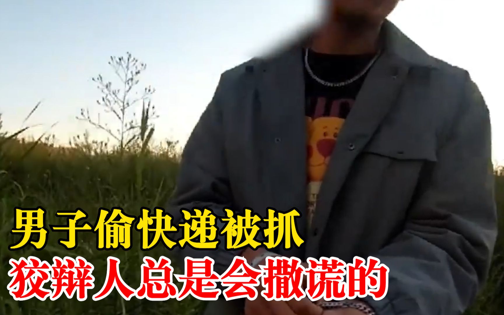 男子偷快递被抓狡辩人总会撒谎：起初矢口否认，证据面前秒改口