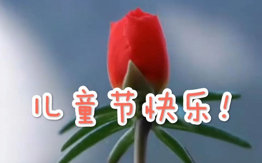 延时摄影 | 静待花开，儿童节快乐！