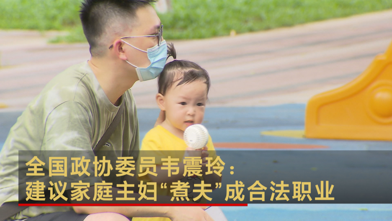 全国政协委员韦震玲：建议家庭主妇“煮夫”成合法职业