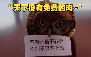 猫头鹰蹭吃蹭喝后帮忙做起防诈宣传