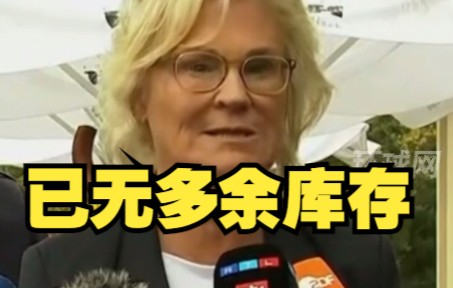 德国防长：已无多余库存武器可以提供给乌克兰