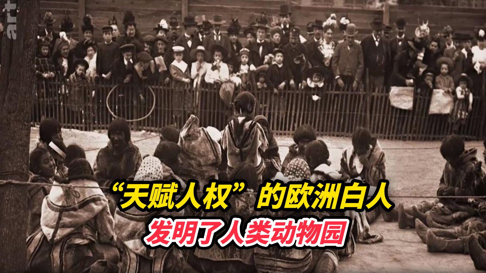 “天赋人权”的欧洲白人，发明了人类动物园