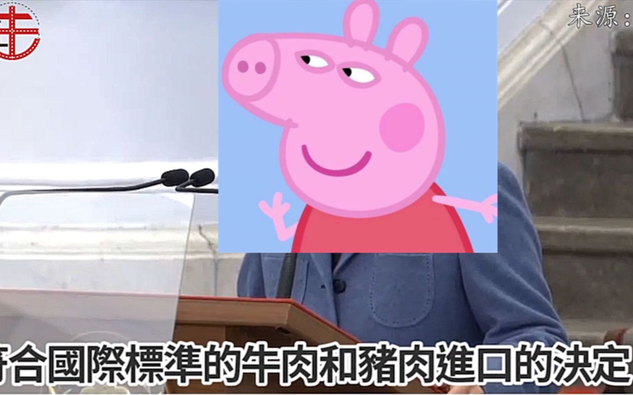 马英九：蔡英文觉得台湾人连猪都不如吗？！