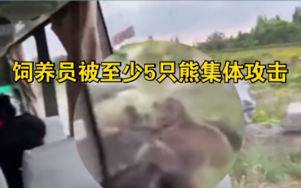 现场视频！上海野生动物园饲养员遭5只熊集体攻击，游客亲眼目睹被吓坏