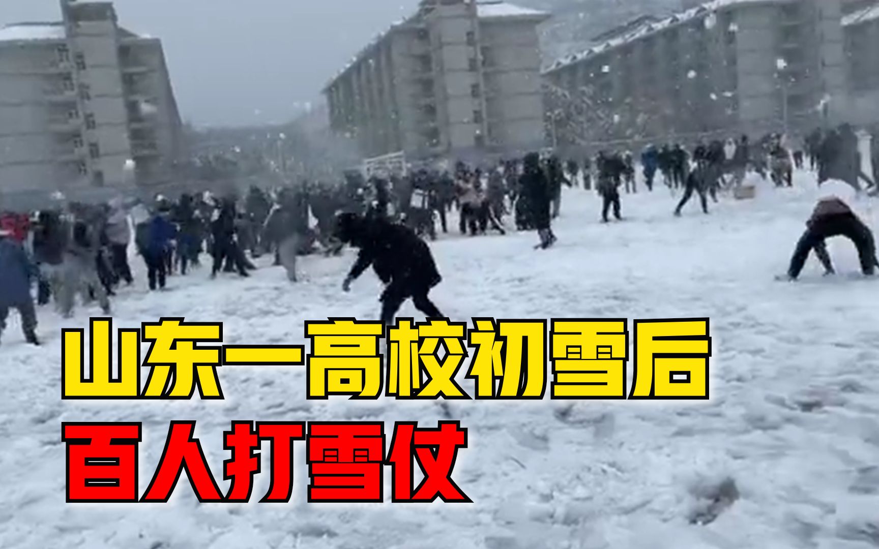 山东一高校初雪过后百人打雪仗：今年第一场雪，很多南方同学加入