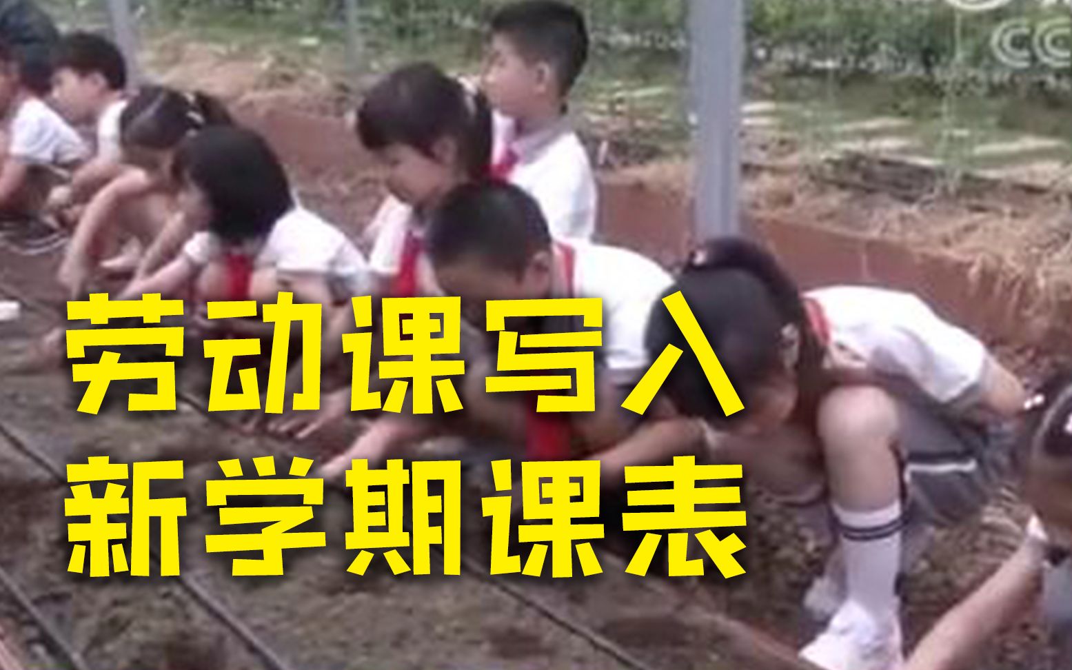 你准备好了吗？劳动课写入了新学期课表