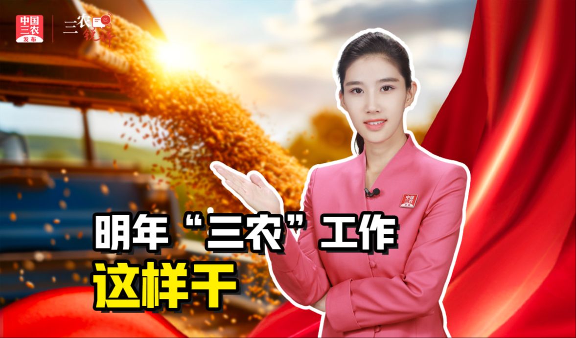 三农锐评丨精绘蓝图，强抓落实，明年“三农”工作这样干
