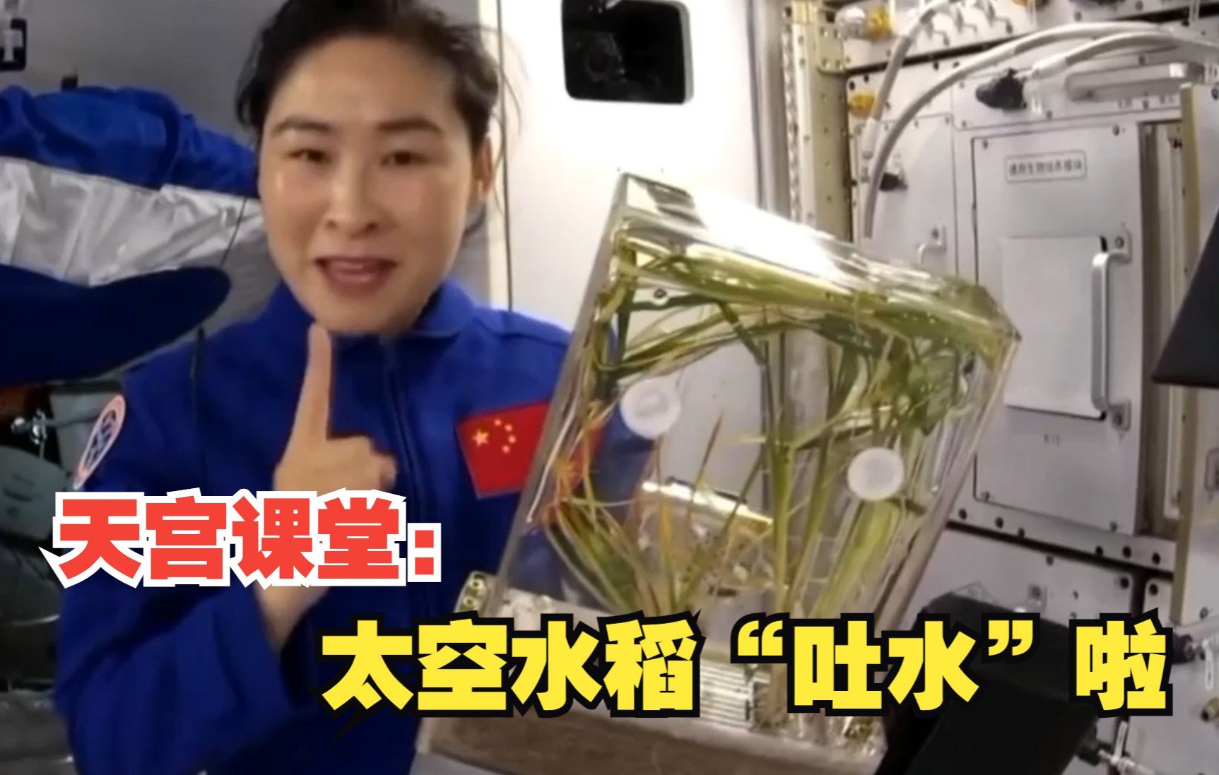 天宫课堂：太空水稻“吐水”啦