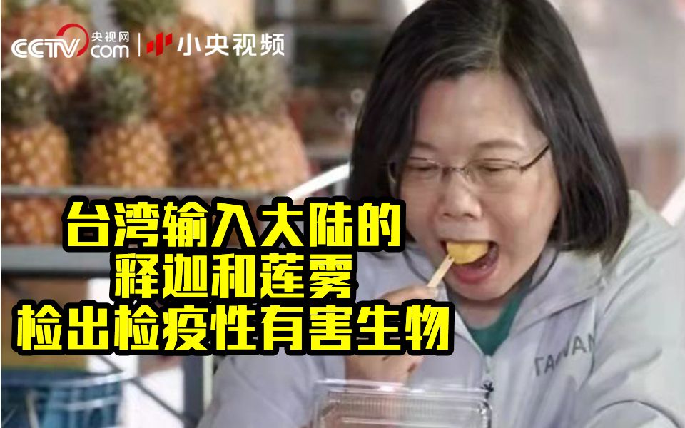 台媒：大陆一道禁令 台湾每年将损失40亿新台币