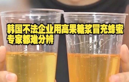 韩国不法企业用高果糖浆冒充蜂蜜 专家都难分辨