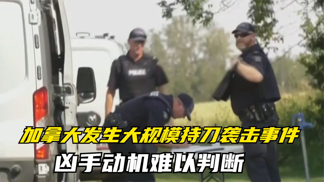 加拿大发生大规模持刀袭击事件 凶手动机难以判断