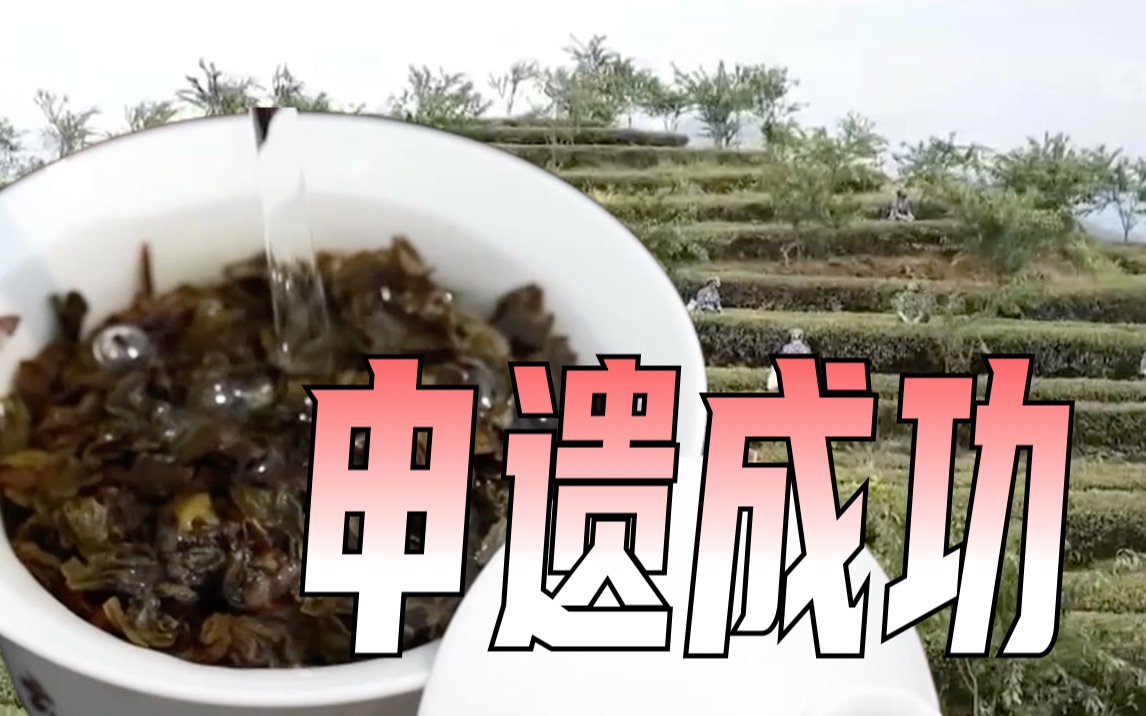 福建泉州安溪铁观音：中国百强县走出的世界茶名片
