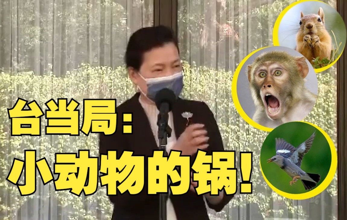 半个月台湾停电12次，台当局嘴硬不缺电还甩锅小动物