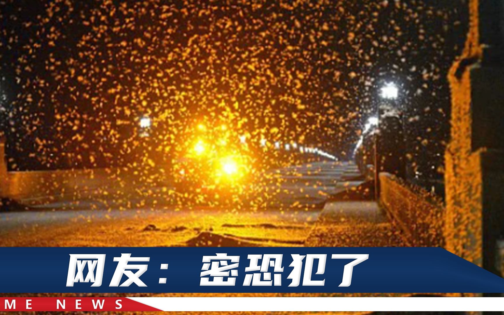 网传河南邓州“涨水蛾”横行，街上密密麻麻铺一路，官方解释来了