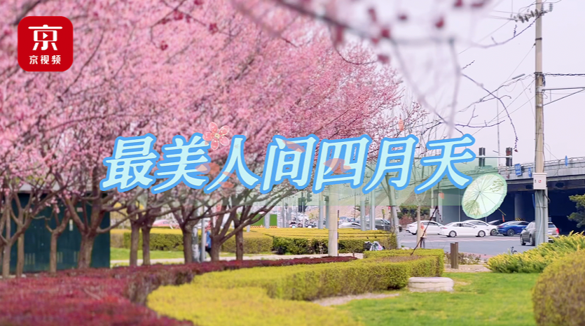 北京这里有条宝藏"花路"，抬头就是花海……