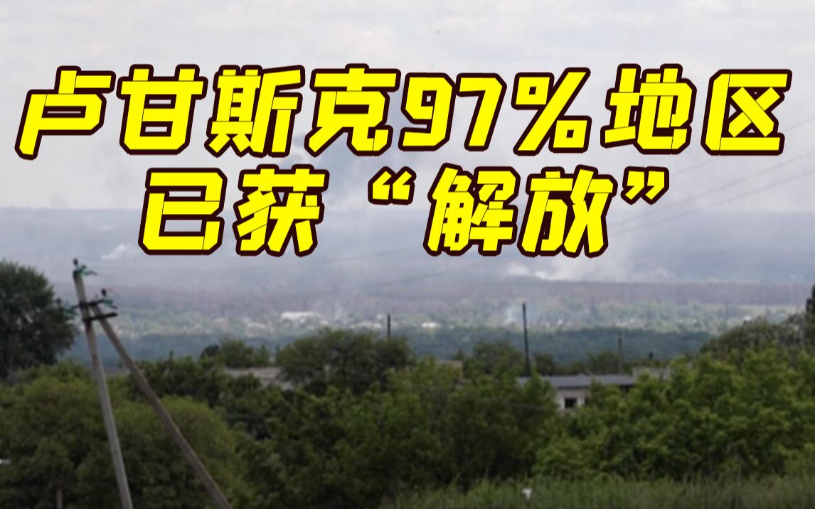 俄国防部长：97%的卢甘斯克领土已得到“解放”