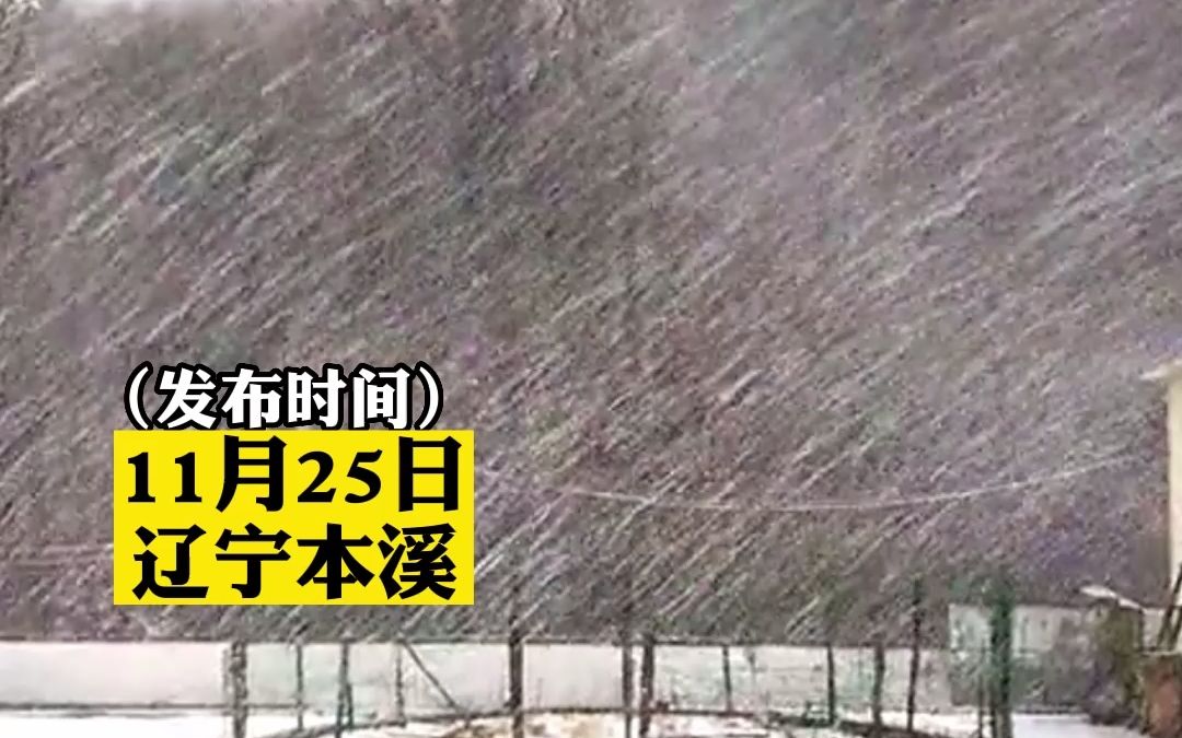 天上下“大米”了？天上下霰东北网友拿碗展示，网友:这真的不是东北大米吗