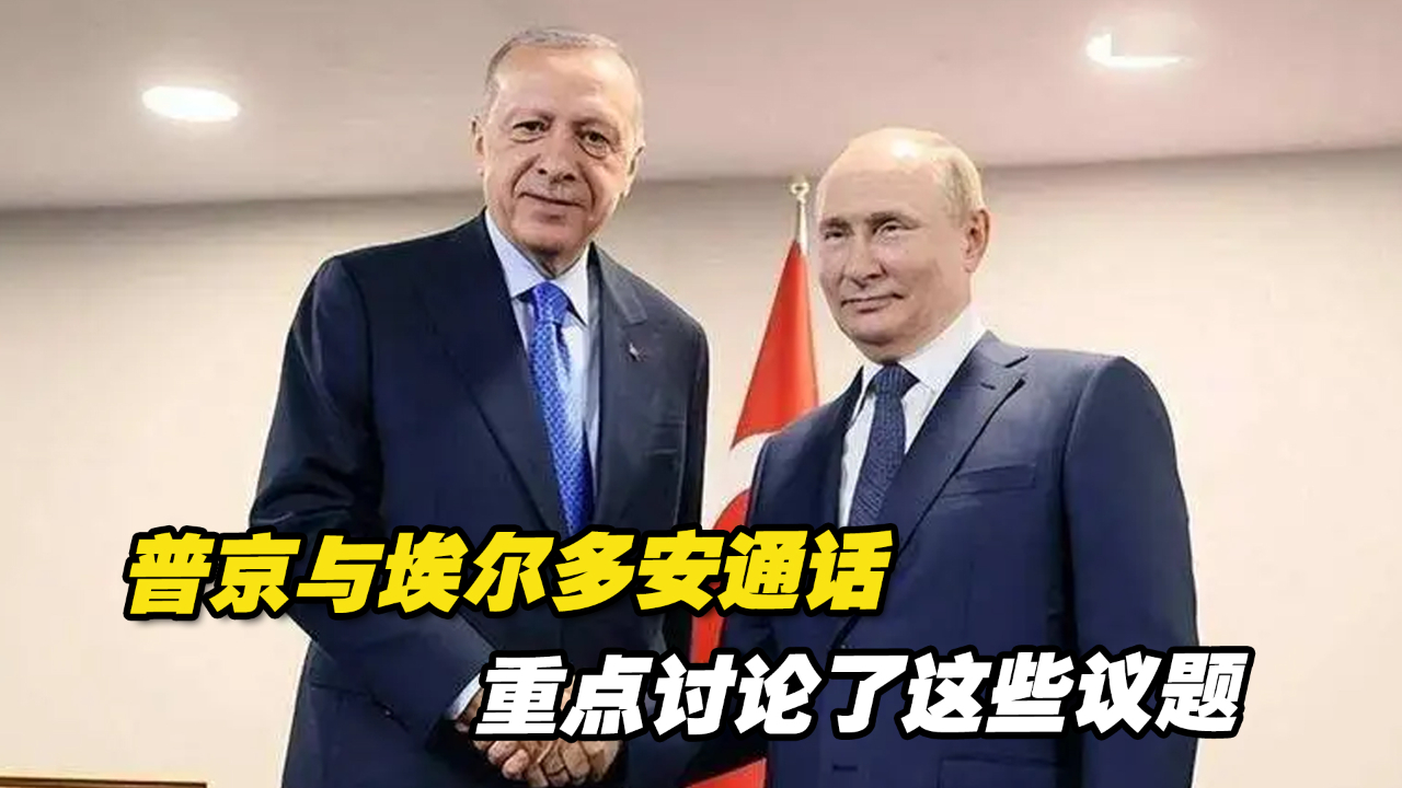 普京与埃尔多安通话，重点讨论了这些议题