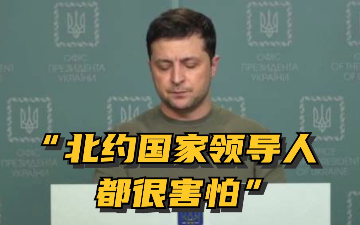泽连斯基视频讲话称北约国家领导人都很害怕