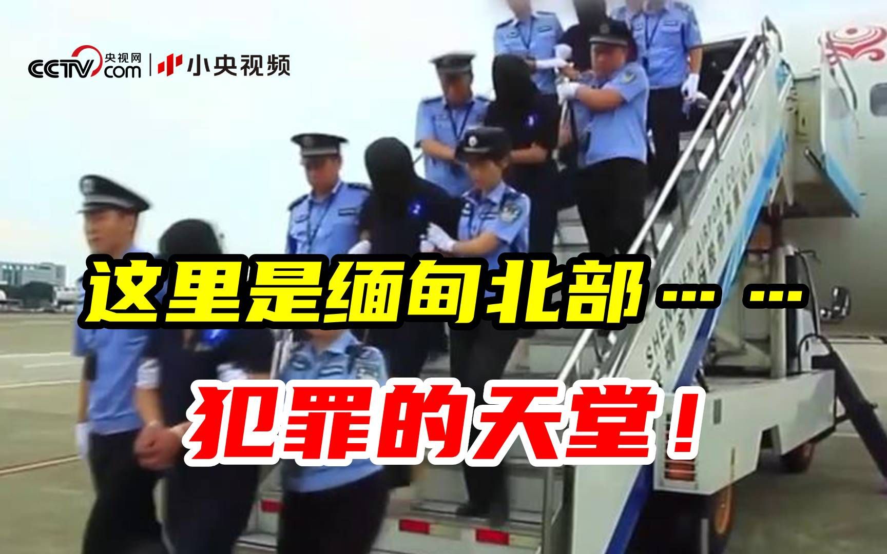 连自杀机会都没有！缅甸回国自首人员自述恐怖经历