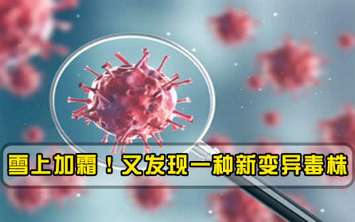 祸不单行！法国研究人员发现新变异毒株，马克龙出了一个奇招