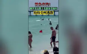 鲨鱼出击！佛罗里达数十名游客受惊吓 纷纷尖叫逃散