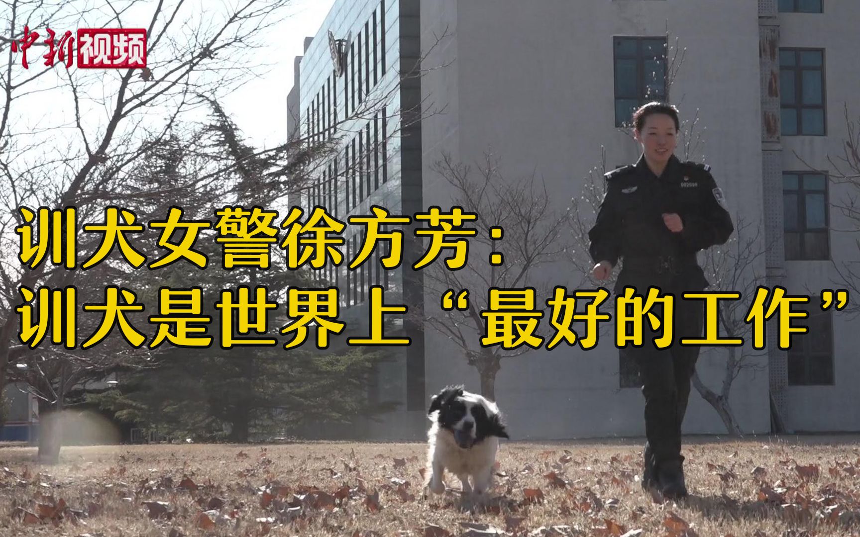 训犬女警徐方芳：训犬是世界上“最好的工作”