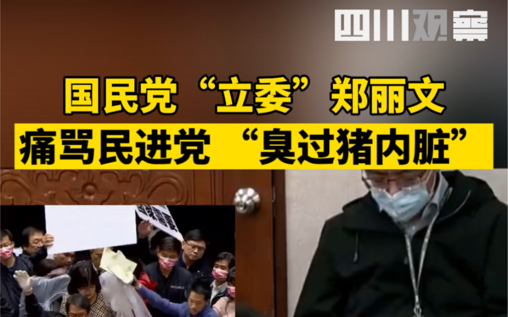台湾“立法委”激战，国民党“立委”拍桌骂民进党：比猪内脏还臭！