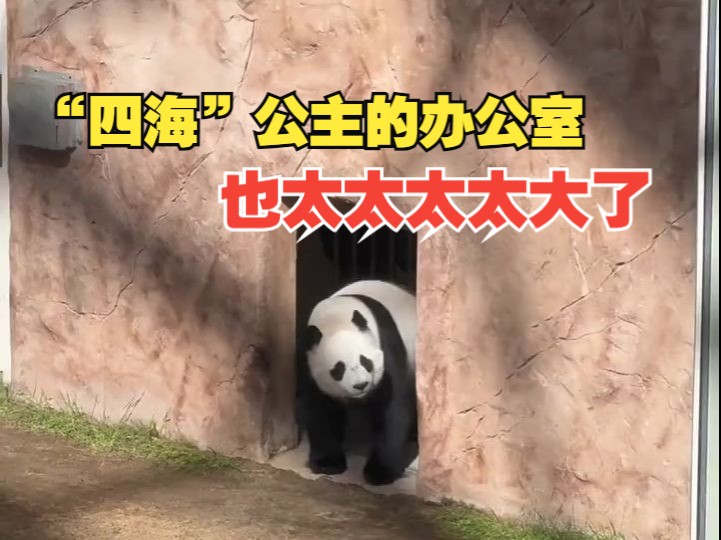 “通勤”太久真的很影响上班积极性