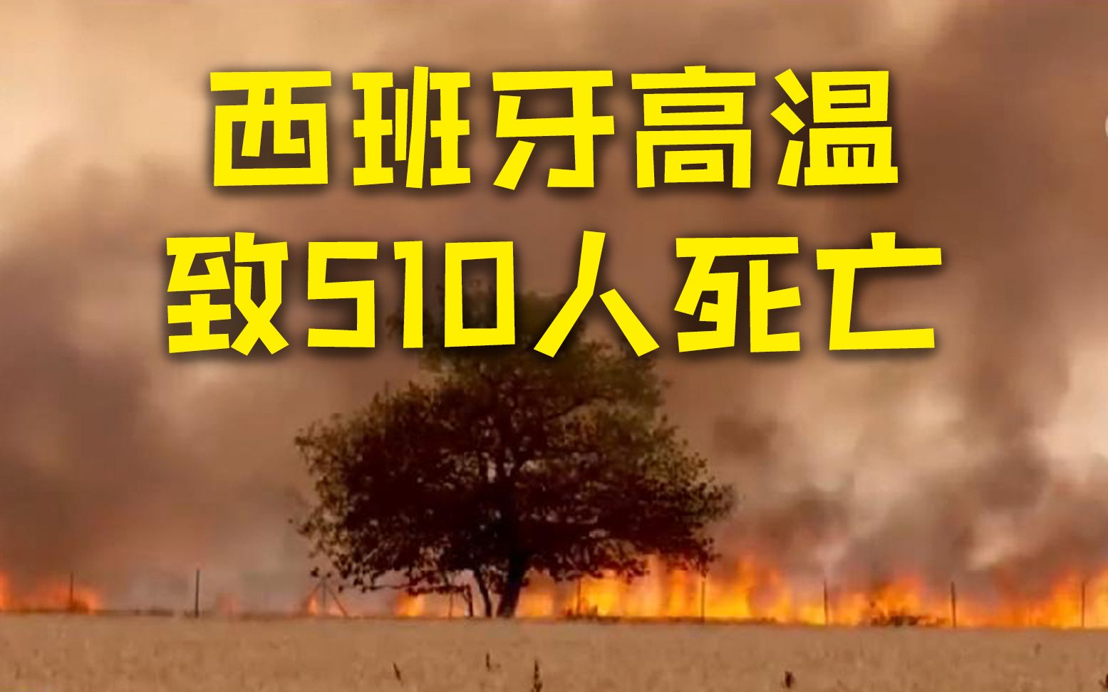 西班牙持续高温致510人死亡