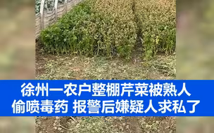 徐州一农户整棚芹菜被熟人偷喷毒药 报警后嫌疑人求私了