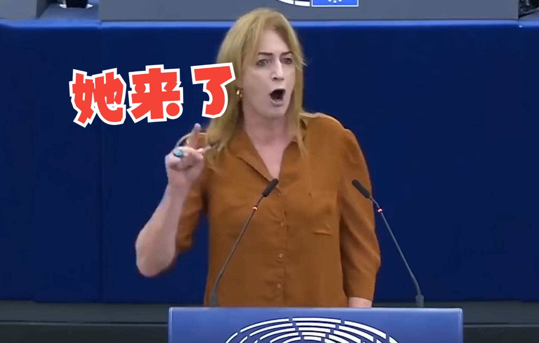 欧洲议会议员点名痛斥美欧支持恐怖主义