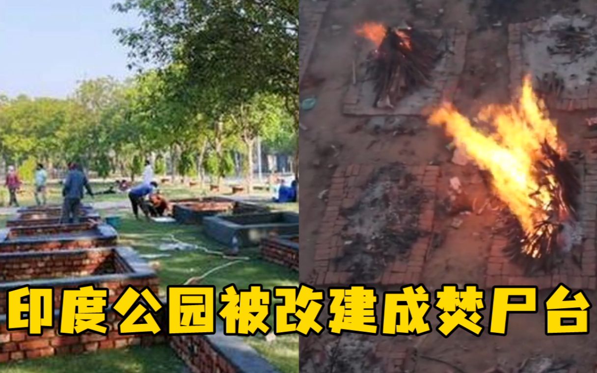 印度公园被改建成焚尸台，前议员：不久德里满大街是火葬场