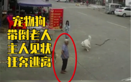 牵住你的狗！宠物狗追逐带倒老人血溅当场，狗主人见状狂奔逃离