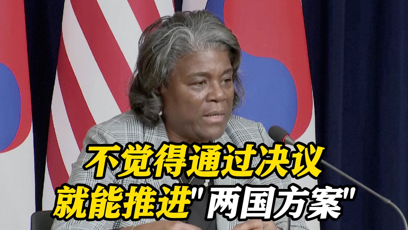 巴勒斯坦入联申请又要“黄”？美方代表暗示否决