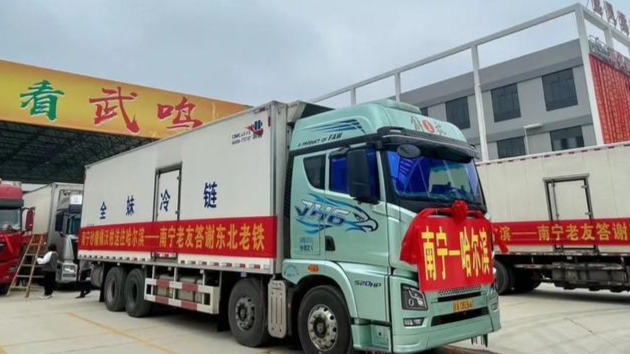 双向奔赴！广西花式回礼“老铁”：“‘尔滨'，砂糖橘请收货！”